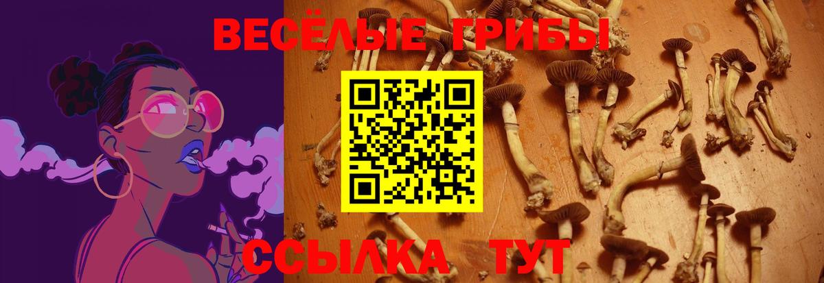 Железноводск  где купить наркотик  Вход с VPN  Галлюциногенные грибы Magic Shrooms 